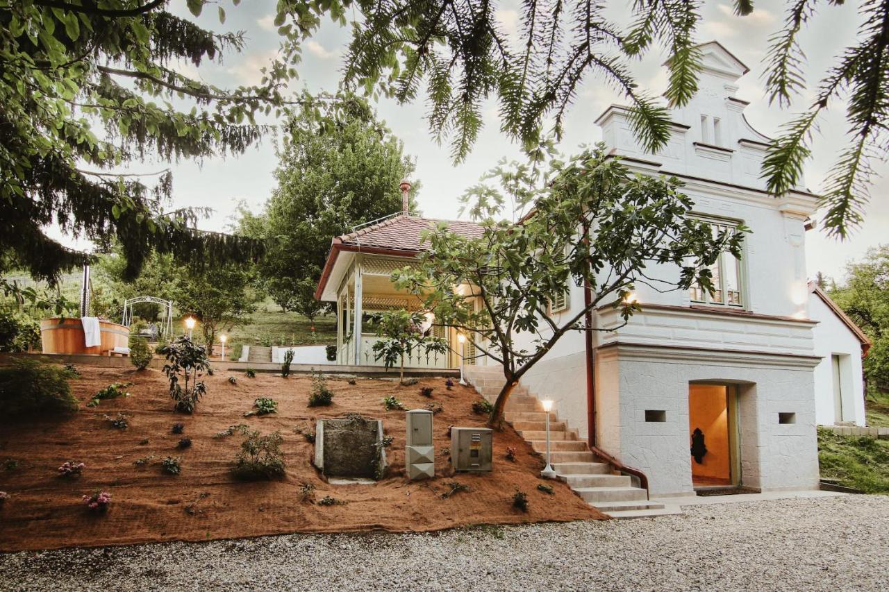 Vila Vilma Vineyard Cottage ليندافا المظهر الخارجي الصورة